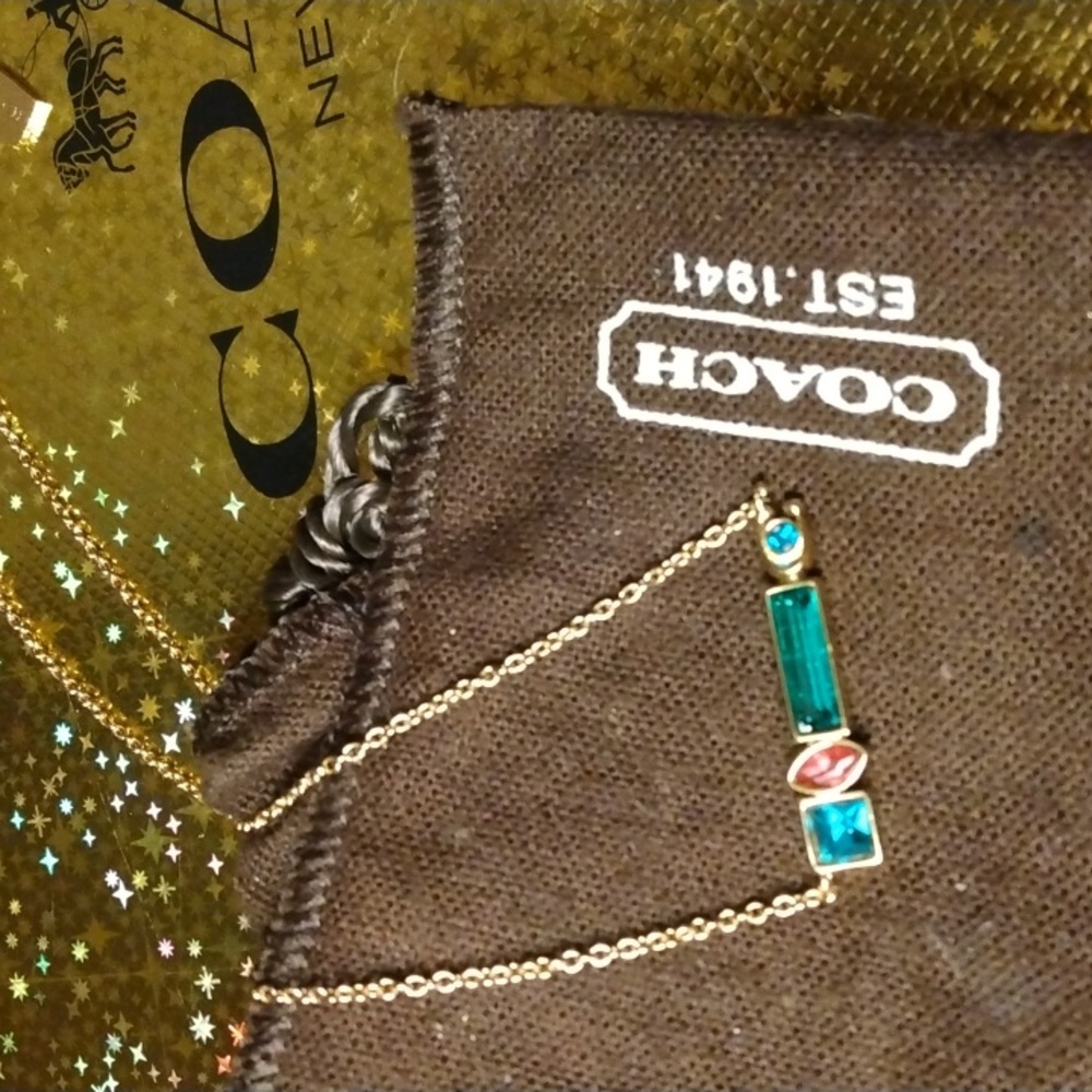 Coach necklace with dust bag